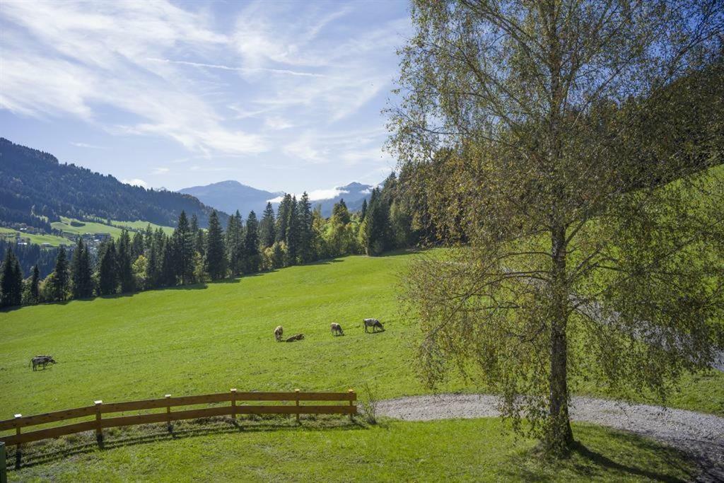 Appartement Bauernhof Hinterfirst à Söll Extérieur photo